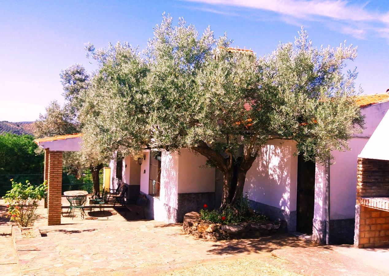 Villa Cortijo "Era Grande 2" Córdoba Exterior foto